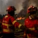 Incêndio em Proença-a-Nova tem três frentes ativas, situação é “muito difícil”