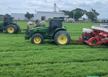 Início da safra de soja exige atenção redobrada às pragas de solo