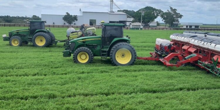 Início da safra de soja exige atenção redobrada às pragas de solo