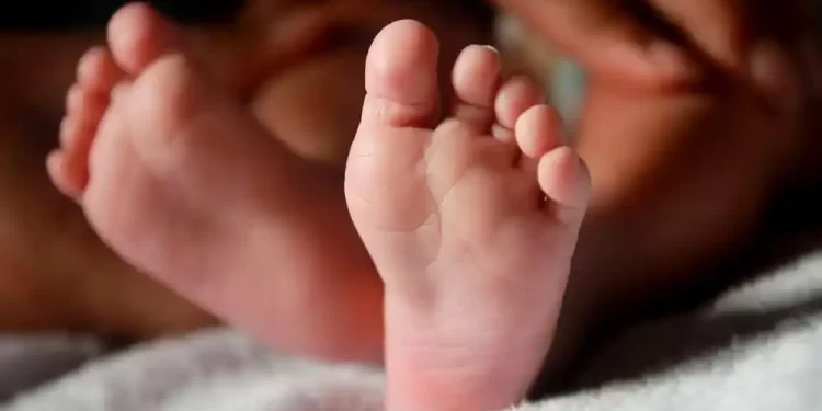 Bactéria em MG: especialistas destacam importância do diagnóstico rápido