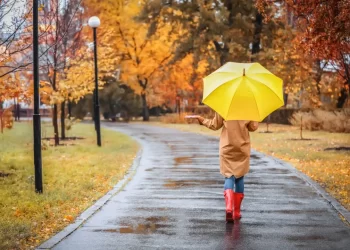 Previsão do tempo em novembro para Portugal: Será que a chuvarada vai continuar?