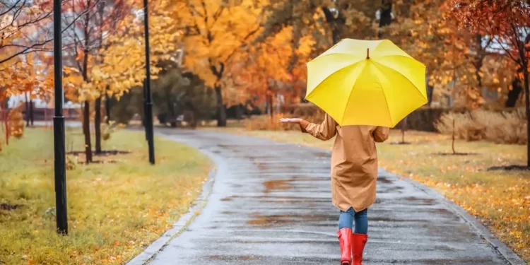 Previsão do tempo em novembro para Portugal: Será que a chuvarada vai continuar?