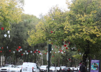Veja na Reportagem; Principal avenida de Lisboa já está decorada para receber o natal e as festas de final de ano