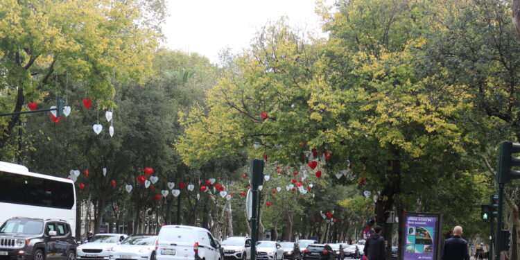 Veja na Reportagem; Principal avenida de Lisboa já está decorada para receber o natal e as festas de final de ano