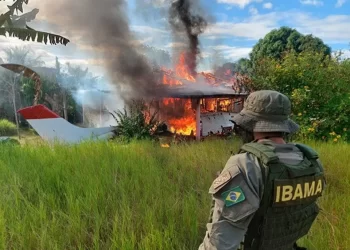 STJ permite Ibama cobrar R$ 29 bilhões em multas anuladas no governo Bolsonaro