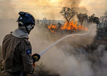 Calor intensifica queimadas no Pantanal e situação é de emergência