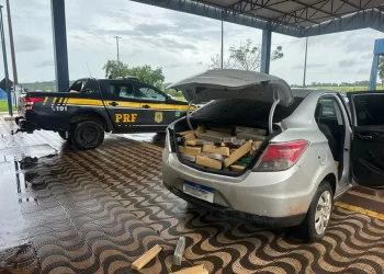 Motorista que ultrapassava pelo acostamento é preso com 289 barras de maconha