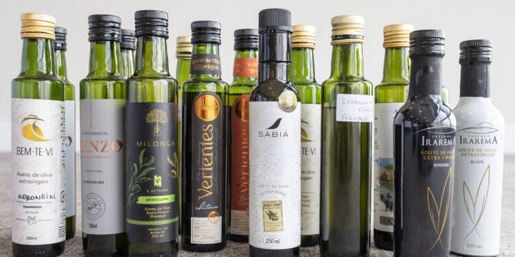 Azeites brasileiros ficam entre os melhores do mundo em 2023