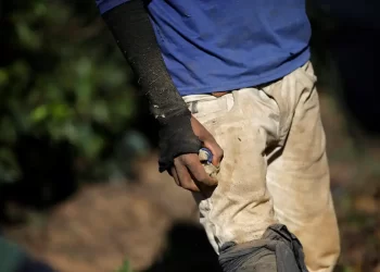 Trabalho escravo: MG continua líder em número de pessoas resgatadas