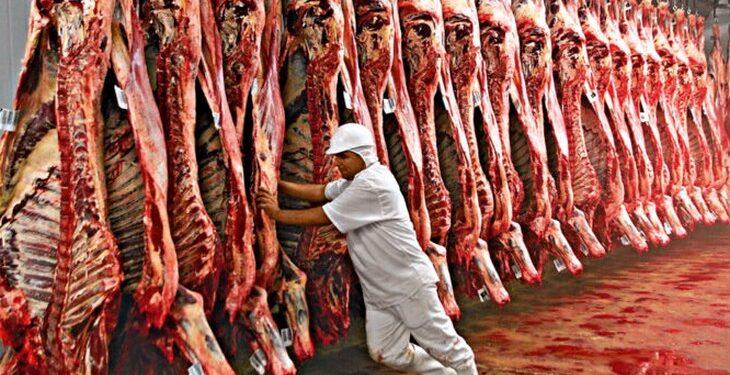 Exportações de carne bovina fecham em queda 2023, diz ABRAFRIGO