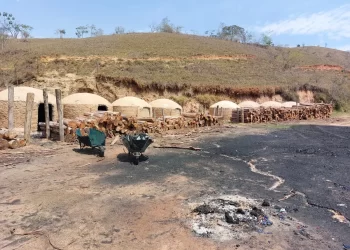 Trabalhadores são resgatados em situação análoga à escravidão em carvoaria em Rio Paranaíba