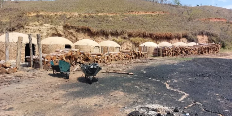 Trabalhadores são resgatados em situação análoga à escravidão em carvoaria em Rio Paranaíba