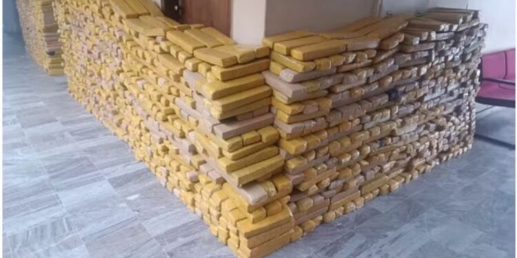 Polícia Militar apreende 3 toneladas de maconha escondidas em sacas de arroz