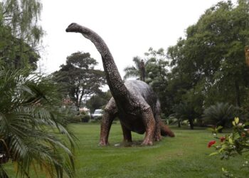 Geoparque Uberaba – Terra de Gigantes é o primeiro patrimônio geológico de Minas Gerais reconhecido pela Unesco