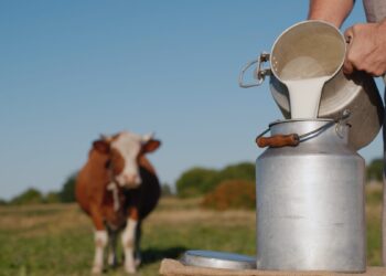 Minas Gerais  suspende benefício de importadores para  garantir competitividade aos produtores de leite do estado