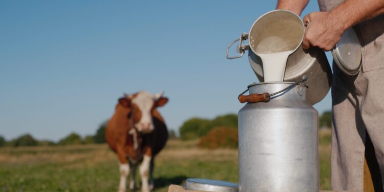 Minas Gerais  suspende benefício de importadores para  garantir competitividade aos produtores de leite do estado