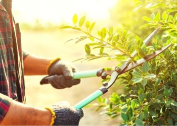 Em Portugal marido amarra mulher em cama corta um dedo da vítima  com tesoura de poda, raspa o cabelo e arranca as pestanas em ato de violência extrema