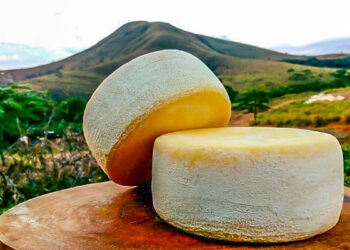 Sistema Ocemg prepara produtores de queijo para o cooperativismo na Serra Geral