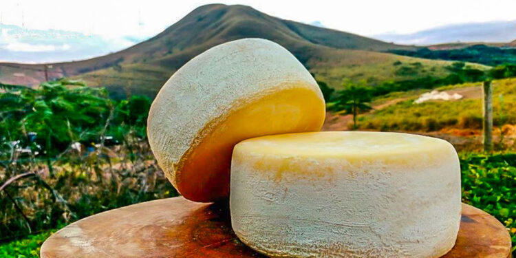 Sistema Ocemg prepara produtores de queijo para o cooperativismo na Serra Geral