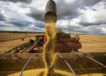 ‘Fui abusada por quatro homens’, conta jovem que denunciou estupro durante festa de influenciadores