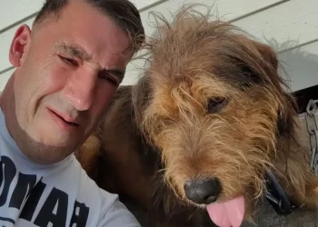 Veja foto: Bombeiro e cachorro morrem eletrocutados em Portugal