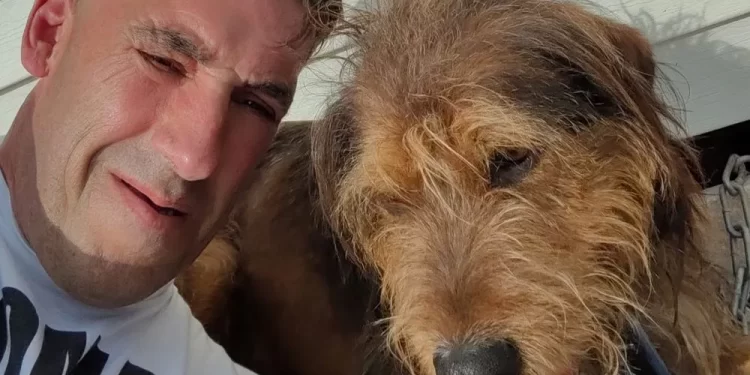 Veja foto: Bombeiro e cachorro morrem eletrocutados em Portugal