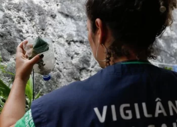 Brasil passa de 1 milhão de casos de dengue em 2024