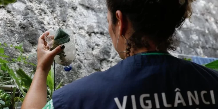 Brasil passa de 1 milhão de casos de dengue em 2024