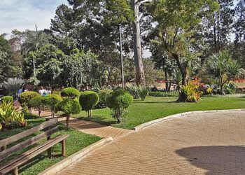 GRATUITO: Confira 7 eventos de graça em BH neste fim de semana