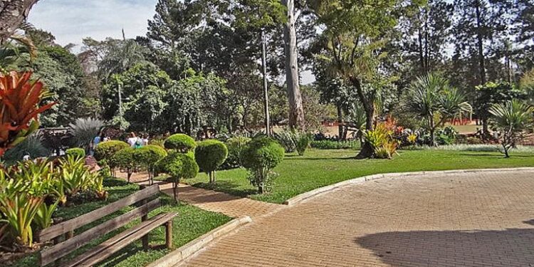 GRATUITO: Confira 7 eventos de graça em BH neste fim de semana