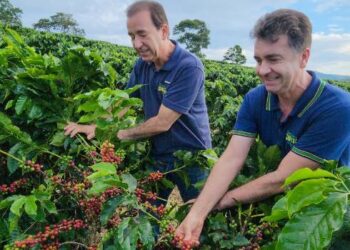Exportações de café para a China crescem quase 4.000% em dez anos