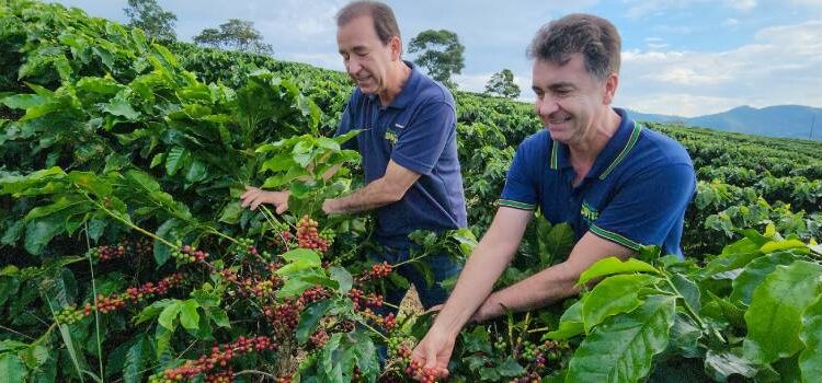 Exportações de café para a China crescem quase 4.000% em dez anos
