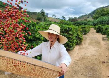 Dia Mundial do Café; cafeicultura transforma vidas em Caratinga, no Vale do Rio Doce