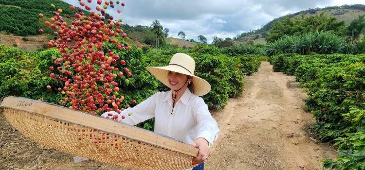 Dia Mundial do Café; cafeicultura transforma vidas em Caratinga, no Vale do Rio Doce