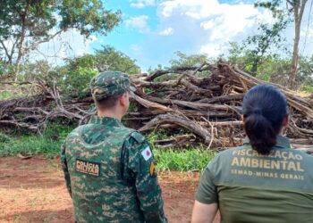 Governo de Minas fiscaliza alvos suspeitos de desmatamento ilegal no Triângulo Mineiro