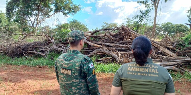 Governo de Minas fiscaliza alvos suspeitos de desmatamento ilegal no Triângulo Mineiro