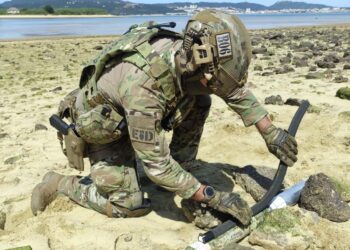 Mergulhadores da Marinha Portuguesa desativam  dois engenhos explosivos em Troia