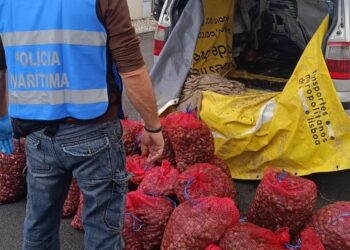 Polícia Marítima apreende 457kg de amêijoa na localidade das Hortas em Alcochete