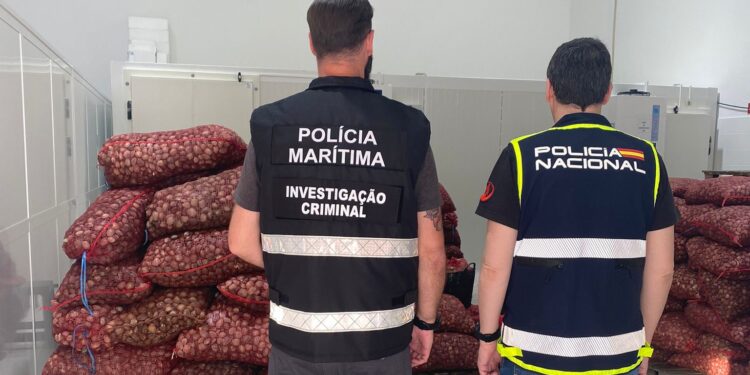 Polícia Marítima prende um dos maiores receptadores nacionais de bivalves marinho