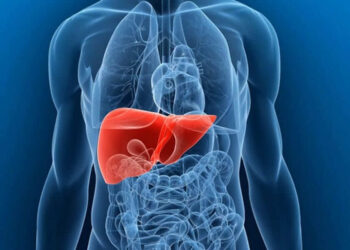 Dia Mundial do Fígado é lembrado em 19 de abril; impacto das doenças hepáticas é crescente