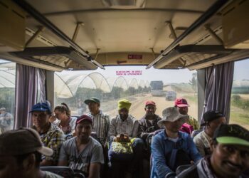 Indianos e nepaleses dão a vida por Portugal; produção de empresas de Hortifrutícolas depedem 100 % deles.