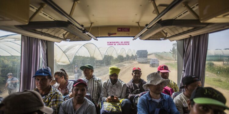 Indianos e nepaleses dão a vida por Portugal; produção de empresas de Hortifrutícolas depedem 100 % deles.