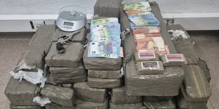 Rede vendia droga para todo o país no Telegram e recebia pagamentos por MBWay