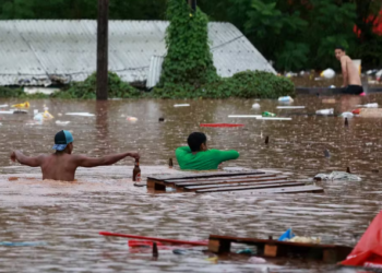 Suspeitas de leptospirose no Rio Grande do Sul devem receber tratamento imediato