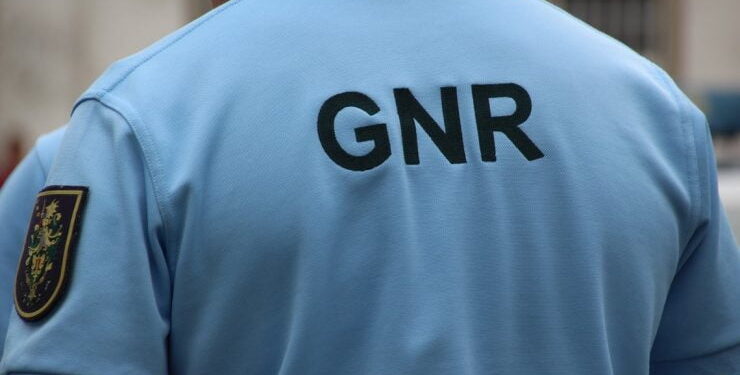 Dois jovens detidos com mais de 10 mil doses de haxixe