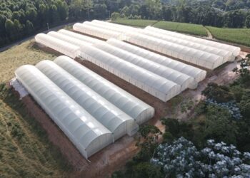 Com novas regras, centenas de imigrantes já pensam em deixar Portugal, e trabalho pesado volta a ser dos portugueses