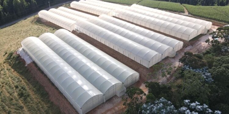 Com novas regras, centenas de imigrantes já pensam em deixar Portugal, e trabalho pesado volta a ser dos portugueses