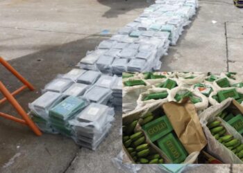 Carga de bananas que saiu da Colômbia chega em Portugal recheadas de cocaína. Polícia Judiciária agiu rápido e aprendeu a mercadoria