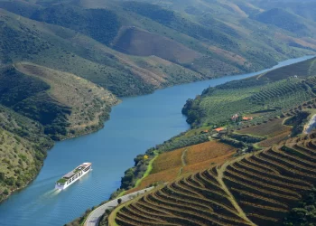 Dois brasileiros investem 45 milhões de euros no Douro, região dos melhores vinhos de Portugal
