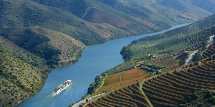 Dois brasileiros investem 45 milhões de euros no Douro, região dos melhores vinhos de Portugal